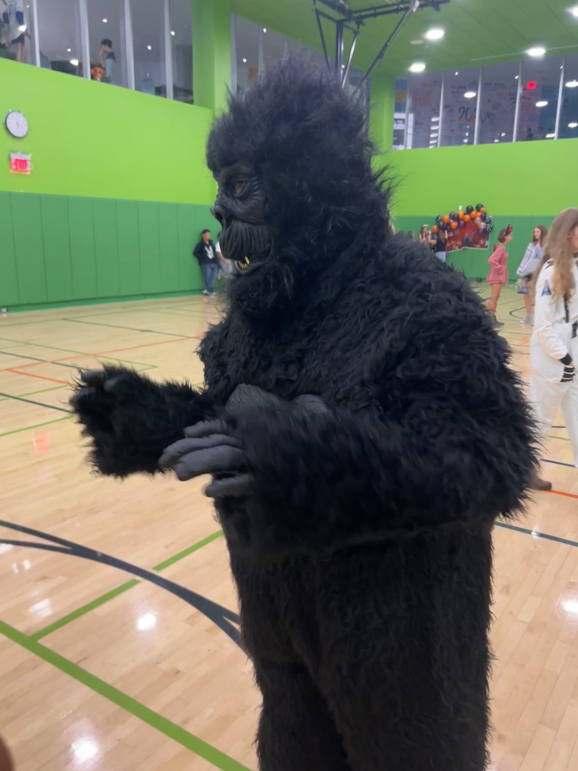 Gorilla costume