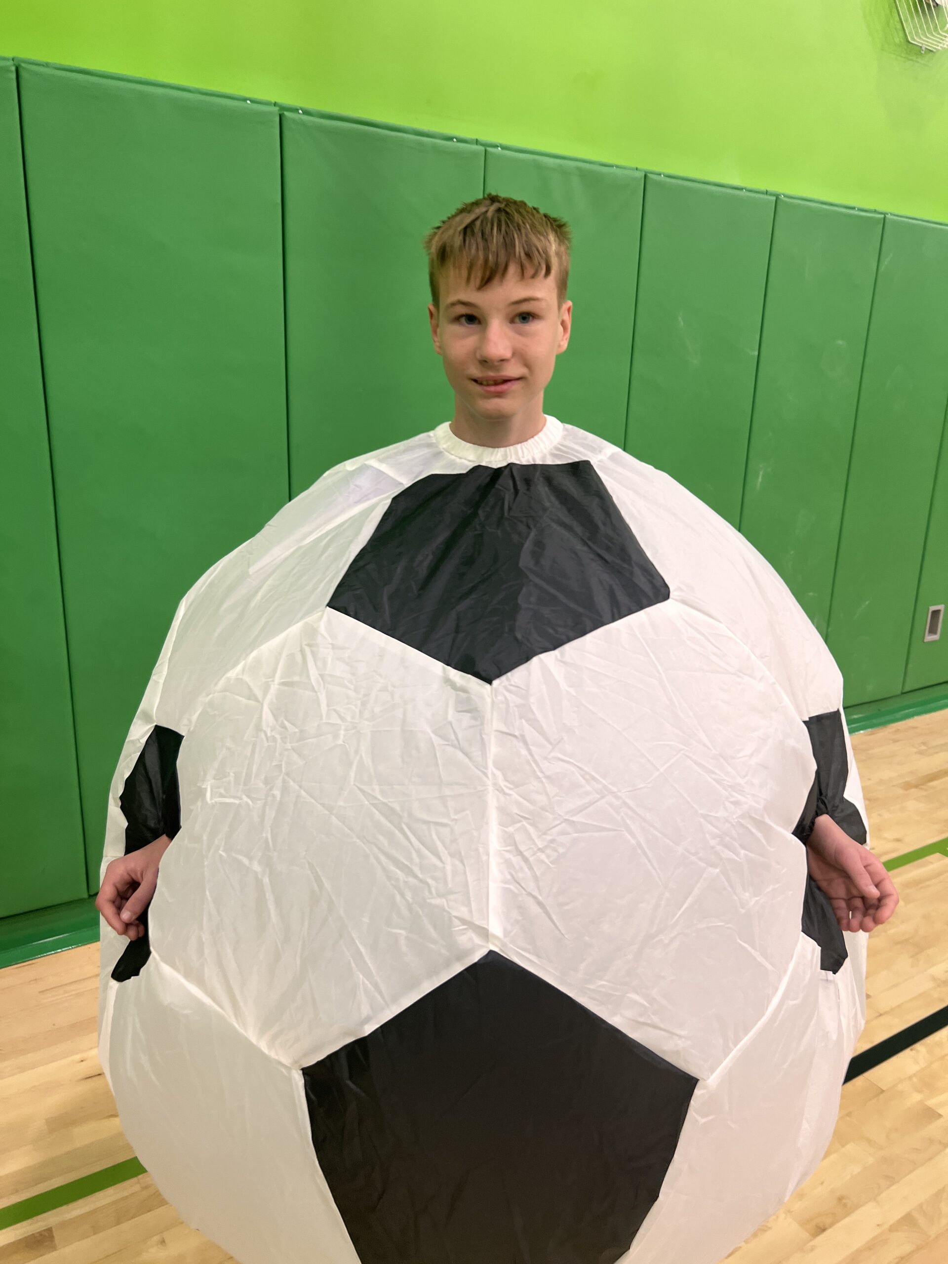 Soccer ball costume