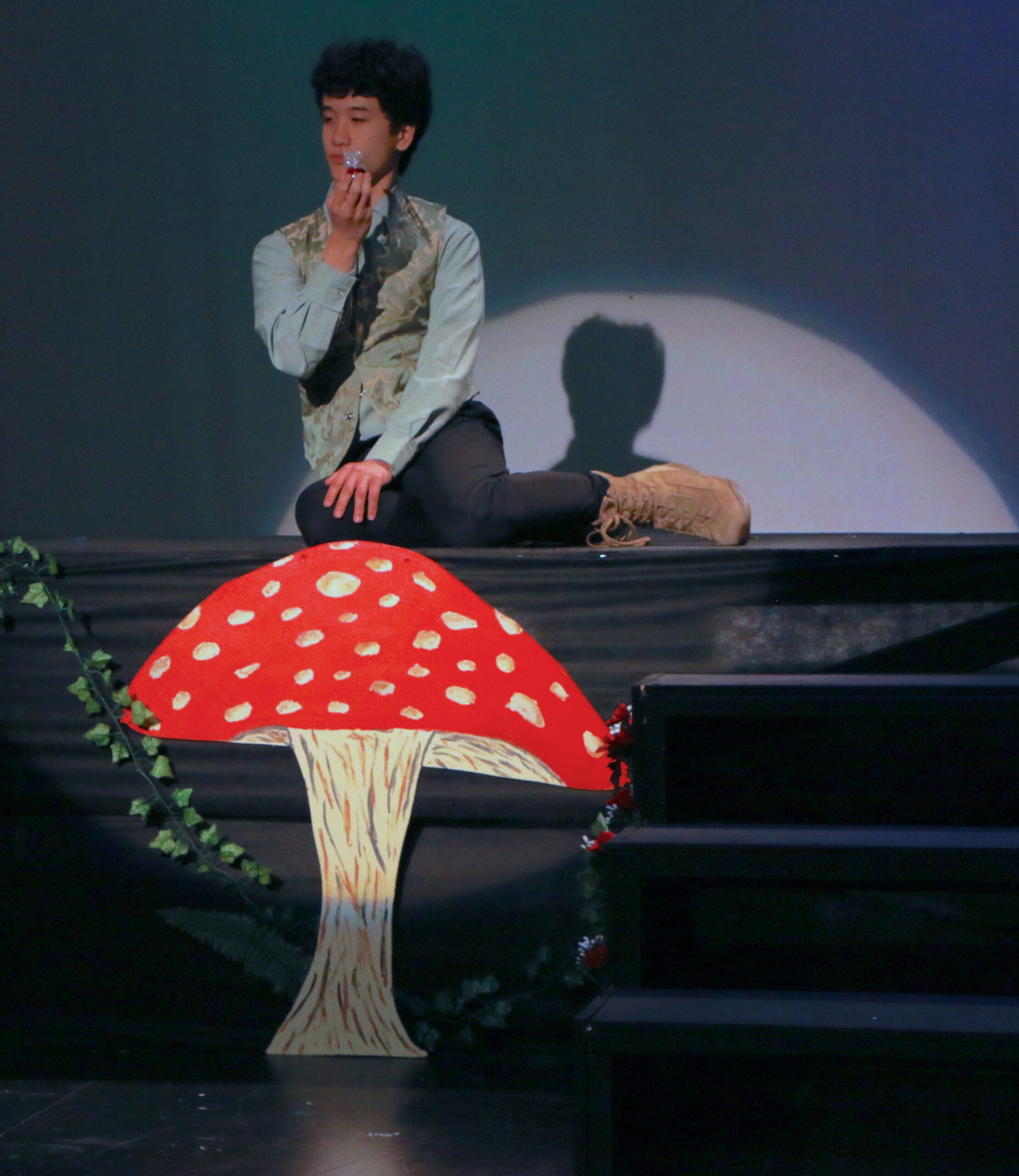 Alice in Wonderland Musical