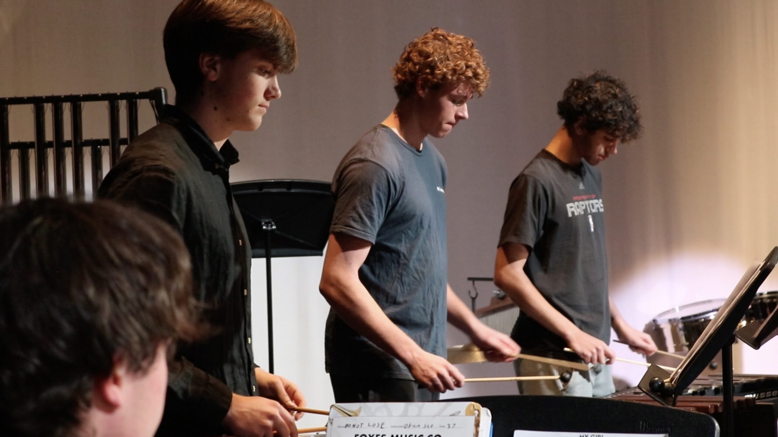 Musicians performing